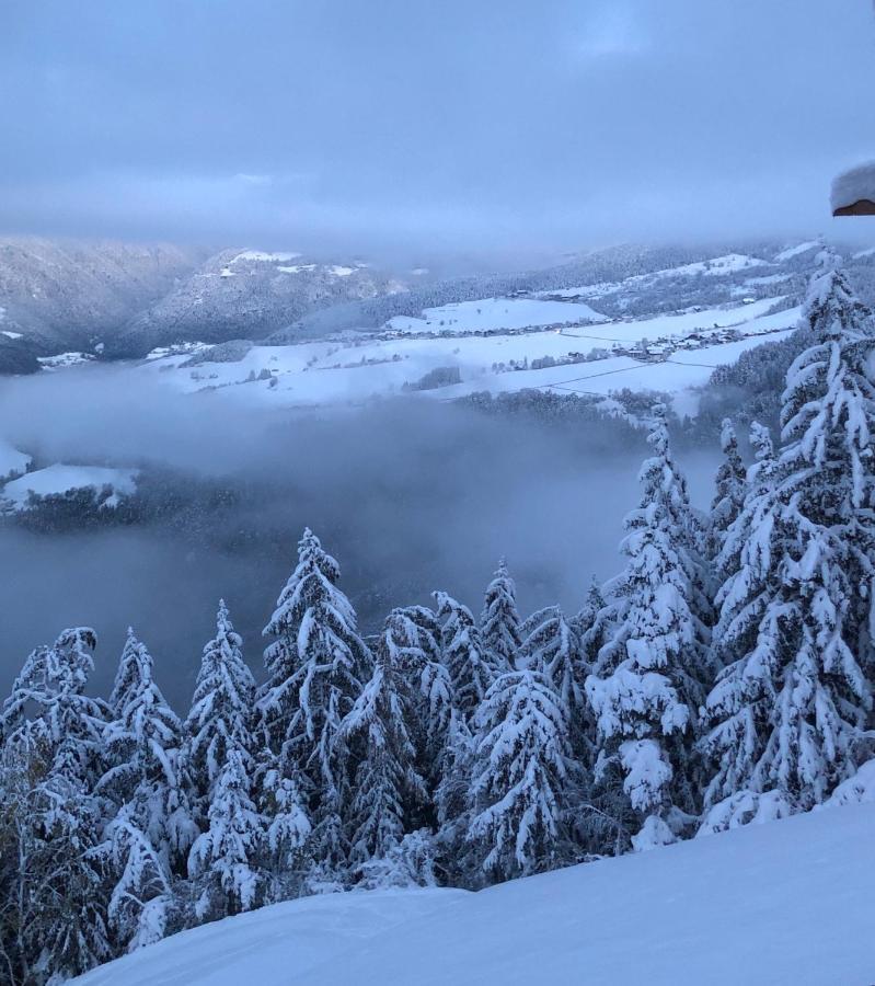 Forchnerhof Panorama- 3 Taeler Blick Διαμέρισμα Rodengo Εξωτερικό φωτογραφία